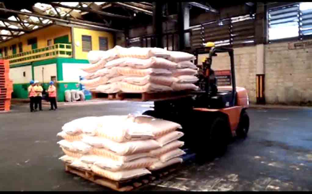 Nasib Buruh Petrokimia Gresik