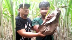 Polres Mojokerto Kota Berhasil Amankan Seorang Remaja Terduga Jambret Di Dawarblandong