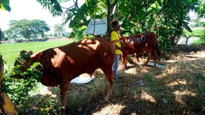 Anggota Dpr Ri Dyah Roro Esti Peduli Masyarakat 2