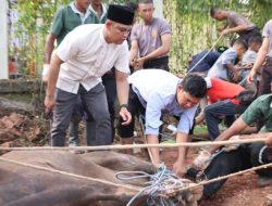 Polres Muba Siapkan 36 Hewan Kurban, Sebagai Ungkapan Rasa Syukur Di momen Idul Adha 1445 H