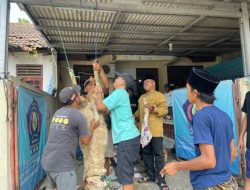 Semarak Idul Adha, DPC KWRI Kabupaten Tangerang Salurkan Hewan Qurban, Bagikan Sembako Dan Gelar Santunan Anak Yatim Piatu