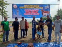 Perumda Tirta Mulia Pemalang Berkurban 40 Hewan di Idul Adha 1445 H Berbagi dengan Masyarakat Sekitar