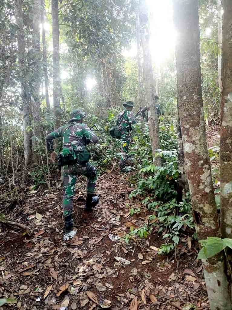 Satgas Pamtas Ri Malaysia Gagalkan Penyelundupan Sisik Trenggiling 2