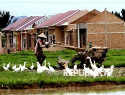 Strategi Cegah Alih Fungsi Pertanian Jadi Pemukiman Warga