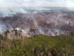 BNPB Antisipasi Kekeringan dan Karhutla di Indonesia