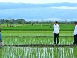 Jokowi: Pemerintahan Prabowo akan Fokus ke Sektor Pangan dan Energi