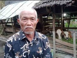 Kisah Sukses Keluarga Penerima Manfaat BLT Dana Desa