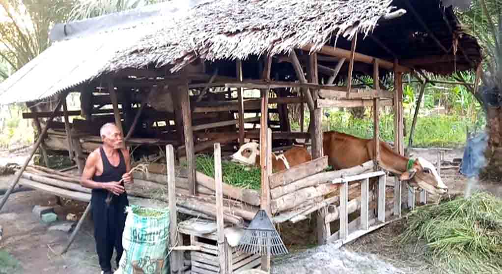 Kisah Sukses Keluarga Penerima Manfaat Blt Dana Desa 3