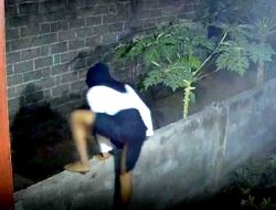 Pria Diduga Curi Celana Dalam Nyamar Pakai Seragam Siswi SMP di Jember
