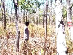 Anggota Polsek Laren Memberikan Himbauan Agar Tidak Melakukan Pembakaran Hutan