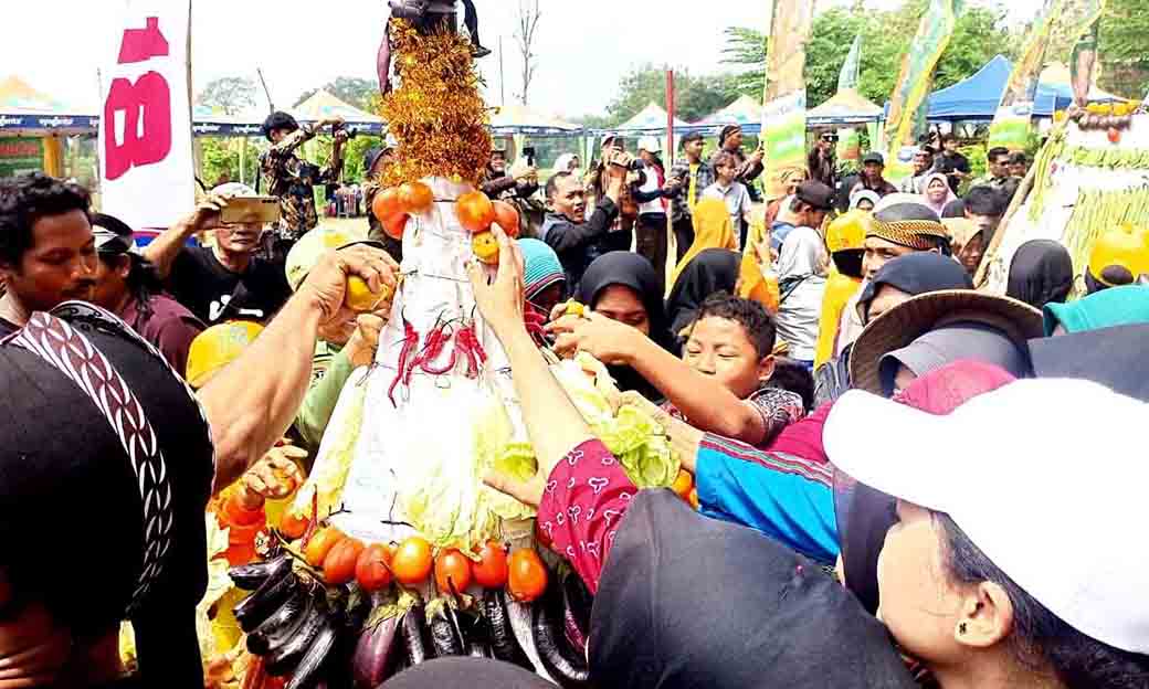 Festival Budaya Manunggaling Sri Sedana, Warga Berebut Gunungan Sedekah Bumi