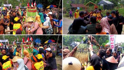 Festival Budaya Manunggaling Sri Sedana, Warga Berebut Gunungan Sedekah Bumi 2