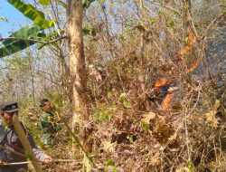 Polisi Bersama TNI dan Relawan Berhasil Padamkan Kebakaran di Gunung Liliran Ngawi
