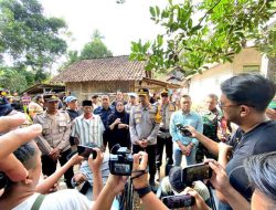 Polisi Berhasil Ungkap Komplotan Pencuri Sapi di Lumajang,Dua Tersangka Diamankan