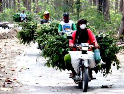 Jalan Baru Berkat TMMD 121 Mempermudah Akses Ekonomi di Dusun Ngasem, Bangunrejo Lor