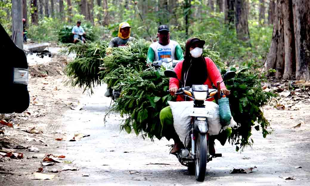Jalan Baru Berkat Tmmd 121 Mempermudah Akses Ekonomi Di Dusun Ngasem, Bangunrejo Lor