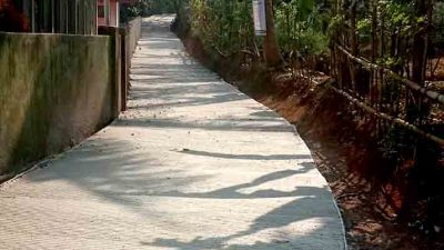 Jalan Mulus,warga Apresiasi Kinerja Roni Pj Kades Nagara Padang 2