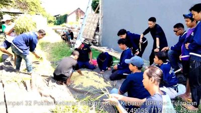 Kegiatan Ubinan Padi Balai Penyuluh Pertanian 2