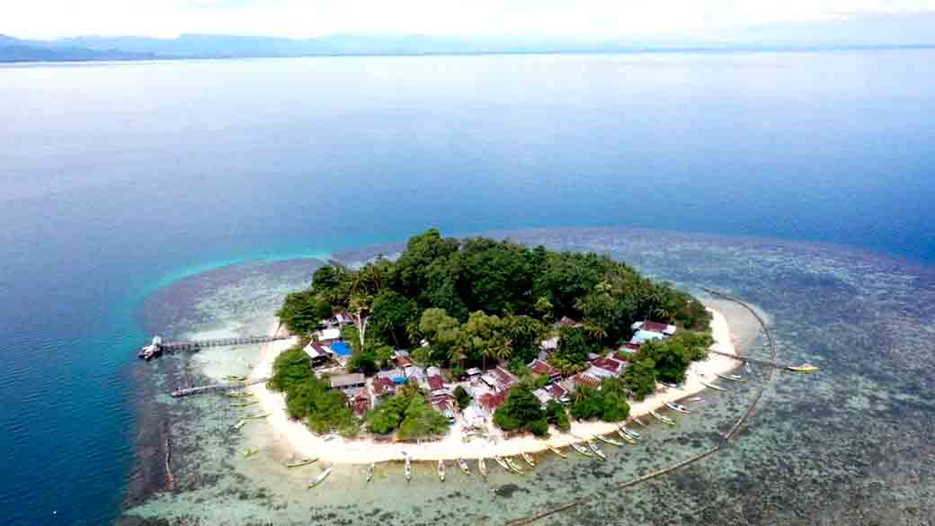 Pasang 118 Mikro Plts