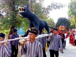 Unik! Ratusan Warga Jatigembol Gelar Upacara Macan Kembar Hitam dan Putih, Diarak Keliling Desa