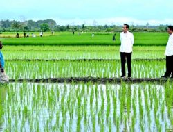 Aktivis Papua Desak Penghentian Proyek Satu Juta Hektar Sawah di Merauke