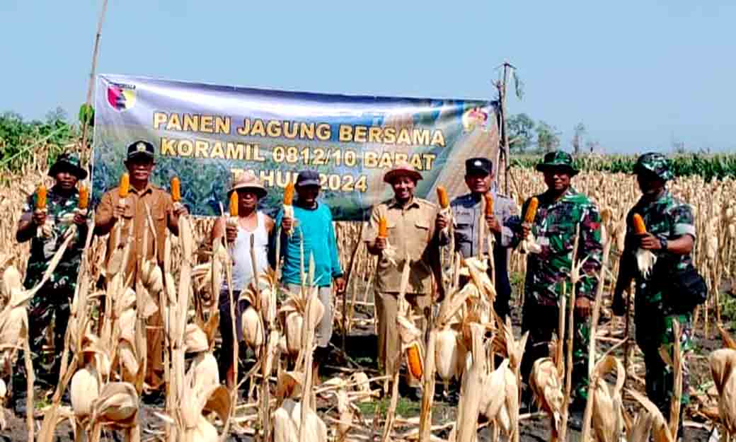 Giat Anggota Polmas Menghadiri Panen Jagung Bersama Pemdes Serta Koramil 0812 10 Babat