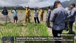 Satgassus Pencegahan Korupsi Polri lakukan Monev Di Nusa Tenggara Timur