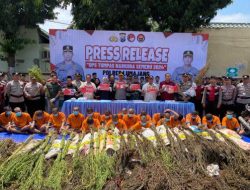 Operasi Tumpas Narkoba Semeru 2024, Polres Lumajang Berhasil Ungkap 16 Kasus dan Bongkar Ladang Ganja di TNBTS
