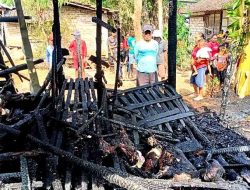 Kandang Terbakar, Tiga Kambing Ikut Hangus Terpanggang