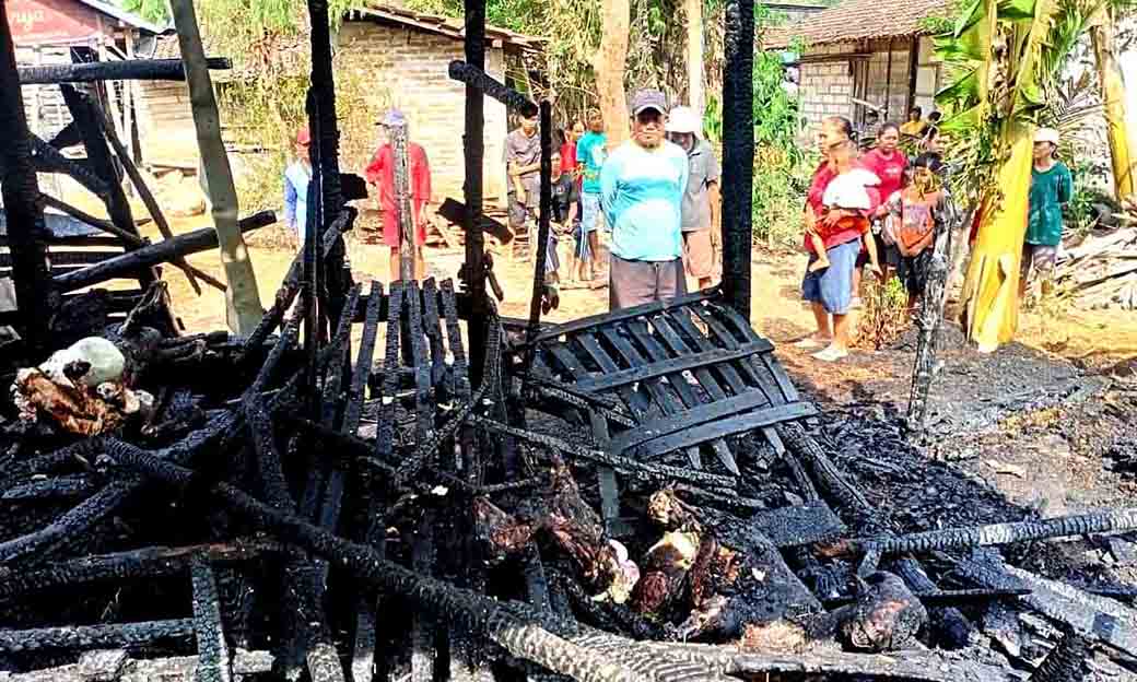 Kandang Terbakar, Tiga Kambing Ikut Hangus Terpanggang