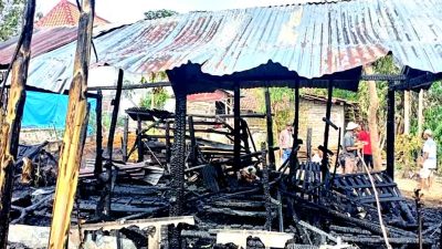 Kandang Terbakar, Tiga Kambing Ikut Hangus Terpanggang 2