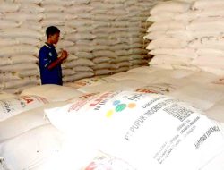 Pemprov Sulsel Salurkan Ratusan Ribu Kg Pupuk Perkebunan, Takalar Dapat Jatah, Berikut Daftarnya!!!