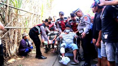 Polisi Berhasil Ungkap Komplotan Pencuri Sapi Di Lumajang,dua Tersangka Diamankan 2