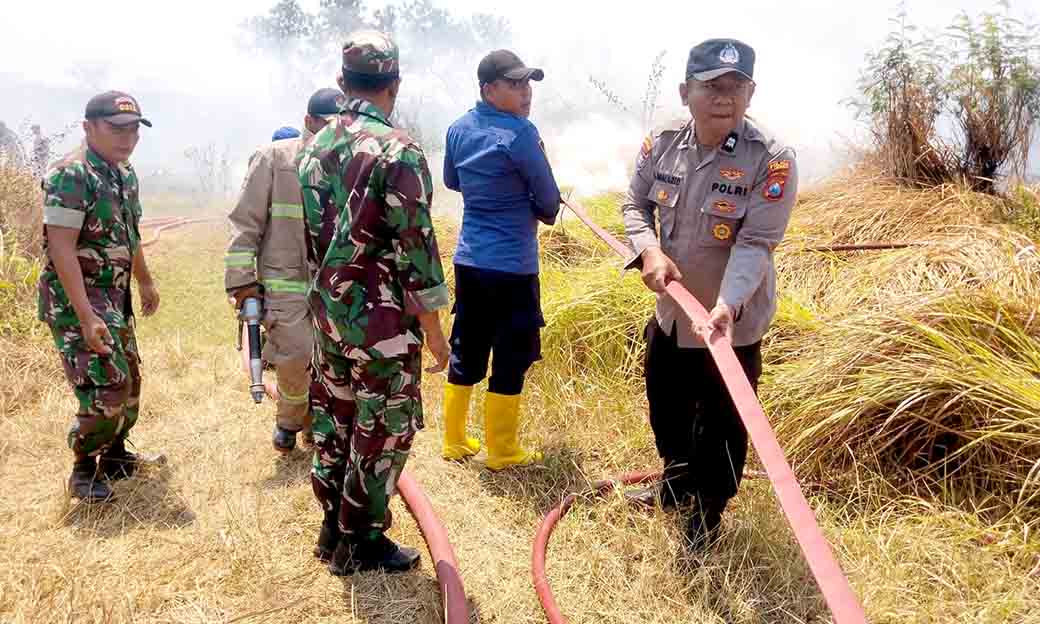 Sinergitas Tni Polri Dan Instansi Terkait Polsek Kembangbahu Bergotong Royong Padamkan Kebakaran Lahan Kosong