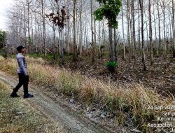 Untuk Menekan Terjadinya Kebakaran Hutan Anggota Polsek Laren Intensifkan Patroli Kewilayahan