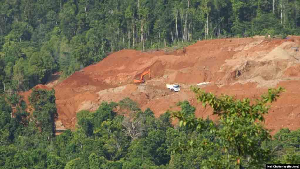 Hutan Indonesia Tanggung Akibat Dari Meningkatnya Permintaan Energi Biomassa Global