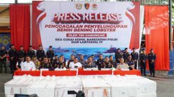 Dirkrimsus Polda Kepri Hadiri Kegiatan Konferensi Pers Penyeludupan Benih Bening Lobster Sebanyak 237.305 Benih Bening Lobster Senilai 23,6 Miliar Rupiah