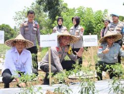 Dukung Target Swasembada Pangan Nasional, SSDM Polri Siapkan Calon Polisi Dengan _Skill_ dan Program Pertanian Yang Melibatkan Masyarakat