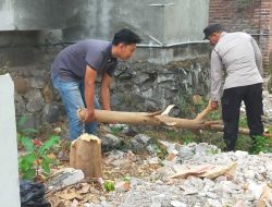 Hujan deras disertai angin kencang disertai angin kencang kerap kali menyebabkan pohon roboh dan menerpa rumah serta menggangu jalan