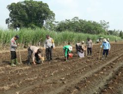 Polresta Malang Kota Dukung Program Asta Cita Kampanyekan Swasembada Pangan Nasional
