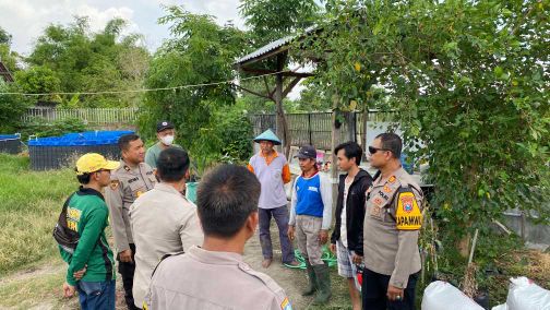 Img 20241104 Wa0034 1