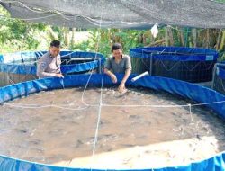 Wujudkan Ketahanan Pangan Nasional, Polres Magetan Terjunkan Bhabinkamtibmas Beri Edukasi Masyarakat