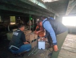 Polres Situbondo Berhasil Amankan Ratusan Slop Rokok Tanpa Pita Cukai