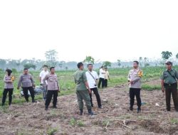 Dukung Asta Cita, Polres Kediri Siapkan Lahan untuk Ditanami Jagung