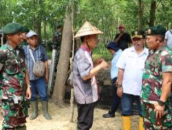 Studi Tiru & Motivasi Pangdivif 2 Kostrad untuk Pengembangan Agroforestry di Kedunggalar, Ngawi