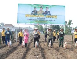 Wujudkan Ketahanan Pangan Mandiri, Polres Blitar Kota Bersama Masyarakat Tanam Jagung di Lahan Aset Polri
