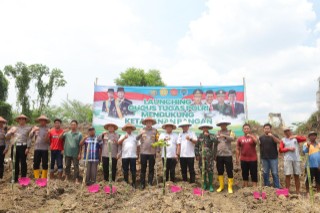 Img 20241120 Wa0053 Copy 320x213