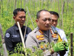 Upaya Polresta Malang Kota bersama Pemkot Wujudkan Ketahanan Pangan di Tengah Keterbatasan Lahan