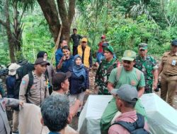 Penuh Perjuangan, Petugas Distribusikan Logistik Pilkada Menggunakan Kuda ke TPS Terpencil di Jember