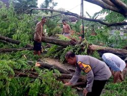Kapolsek Modo Bersama 3 Pilar Tanggap Darurat Bencana Hujan Deras dan Angin Kencang di Desa Yungyang dan Pule